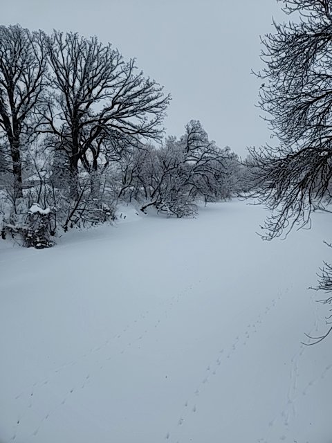 TurdFergusonE82's tweet photo. TurdFergusonE82 found #bitcoin in a User vault at this location! Join me playing #coinhuntworld, It's awesome! https://t.co/tdrV5KGBGm #cryptocurrency #176470

Winter Wonderland https://t.co/PklY2ZVYLn