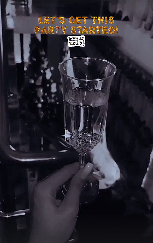 Bu kadehi tüm geri kalmış medeniyetlere kaldırıyorum. 

HOŞGELDİN 2⃣0⃣2⃣3⃣ 🎉🥳