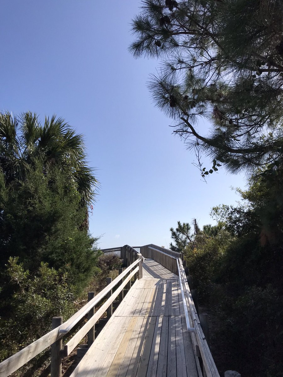 damongran's tweet photo. A great walk/run year. Closed out 4Q22 and year w/6 months at 100+ miles/month. 4Q22 total miles: 306.42. 102.30, Oct; 100.53, Nov; 103.59, Dec. Year-end total miles: 1,055.49. The journey continues. #NoExcuses #NeverGiveUp #HappyNewYear https://t.co/cFx9Efegf5