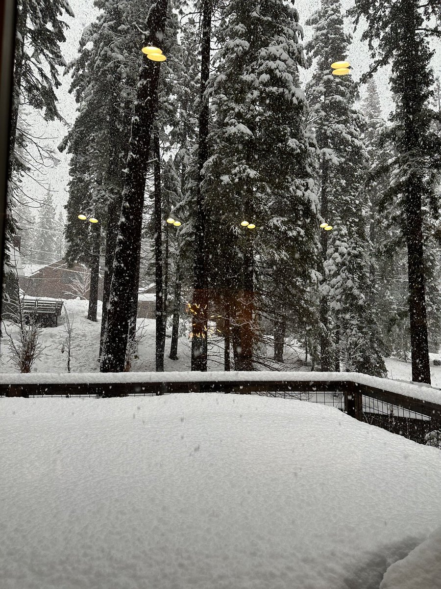 sherrism's tweet photo. @TahoeWeather Tahoe Pines elevation 6,230.. more than a foot since 7am https://t.co/mJekKaefg8