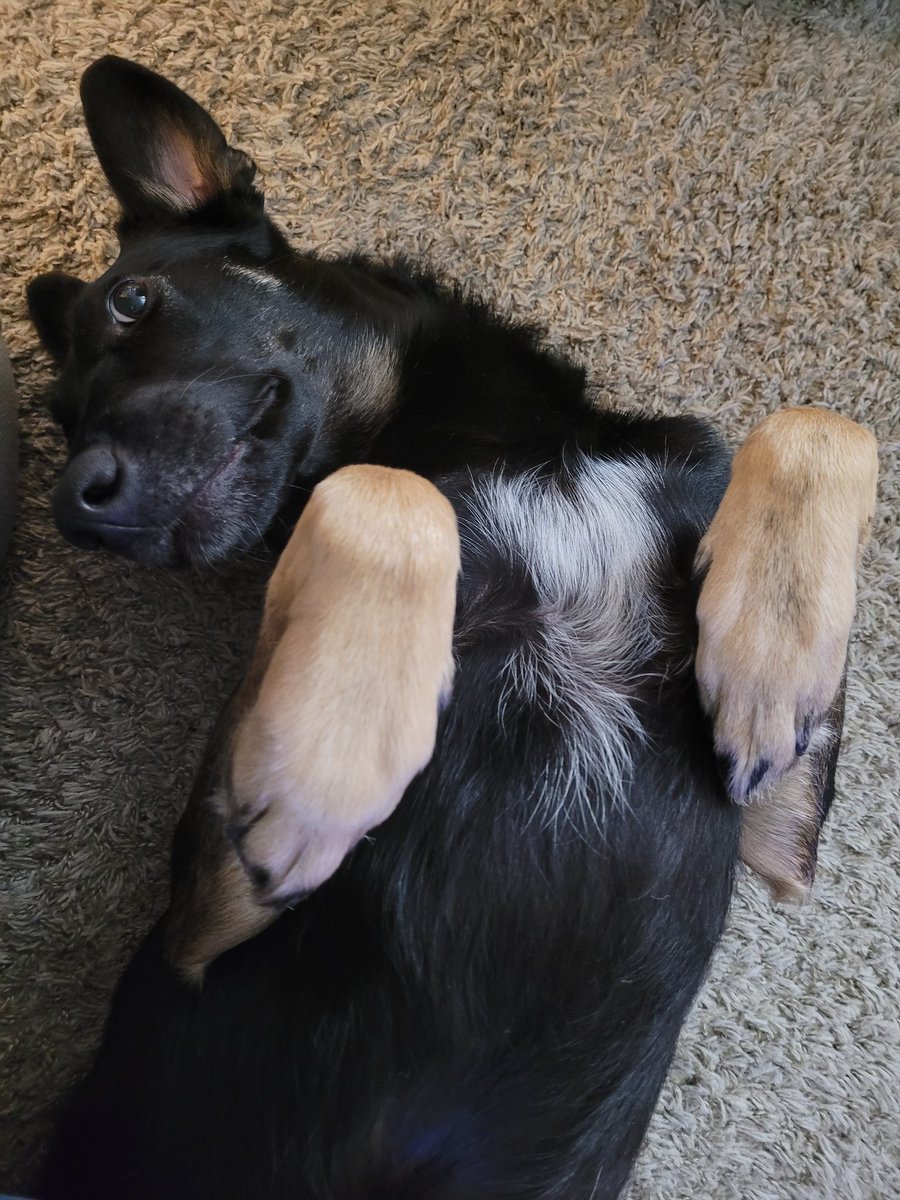 See ya, 2022! Happy New Year, friends. Hoping 2023 is a great one!