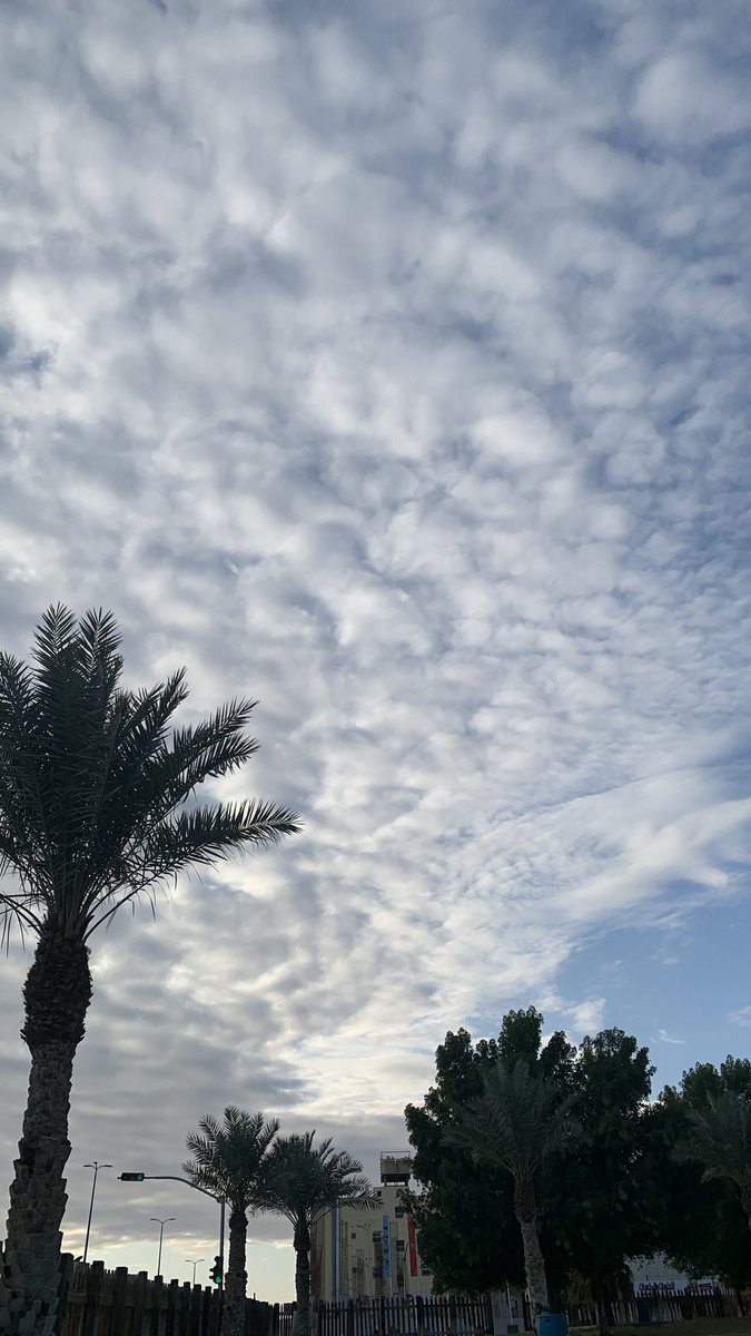 sh_a20x's tweet photo. يا أغرب سنه مرت علي، يا مليون شعور 
حسيت به ..🤍🕊️
#السنه_الجديدة_2023 https://t.co/af2wC2kZLc