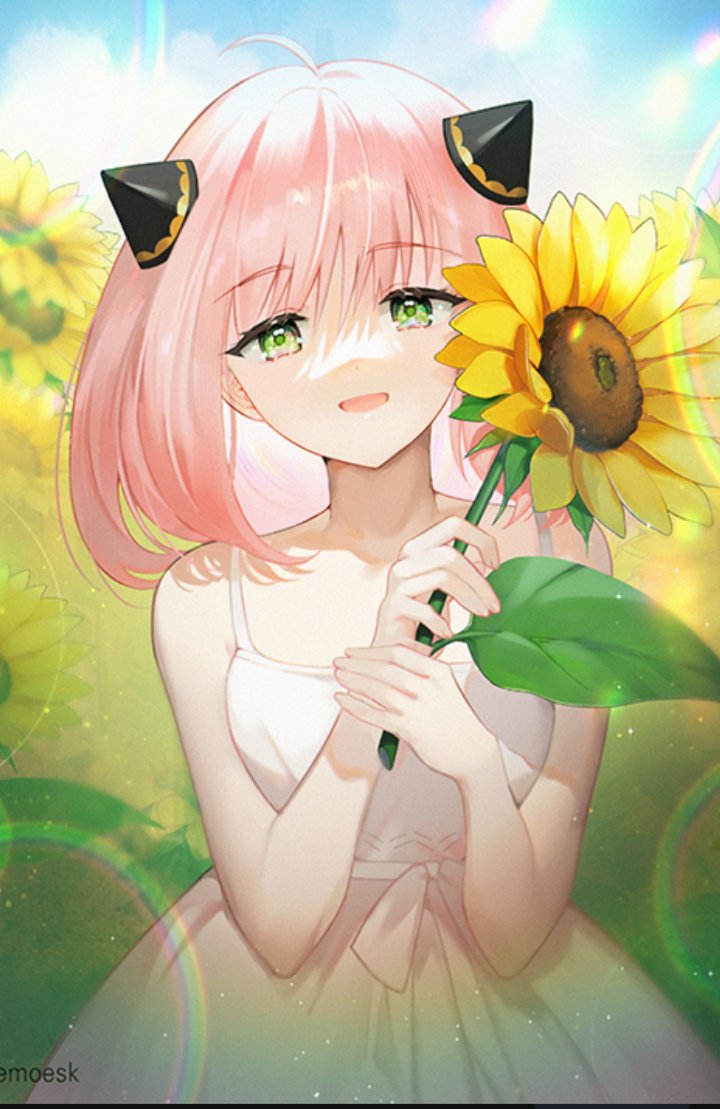 Son tan bellos los girasoles.....

— Está feliz por qué encontró girasoles en el bosque, aunque ahora no sabe dónde están todos con los que venía y eso la está asustando un poco.—