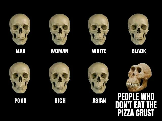 1ingew4ld's tweet photo. why they don't eat it? https://t.co/HPGBqmSv3m