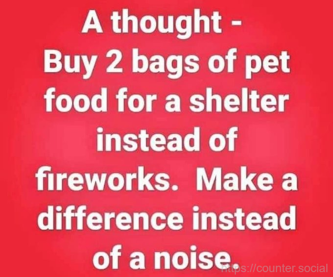 kellykba's tweet photo. #DogsOfTwitter #PTSD #CatsOfTwitter
#TwitterAdvice #HappyNewYear2023 ๐ https://t.co/kky1UXq6zm