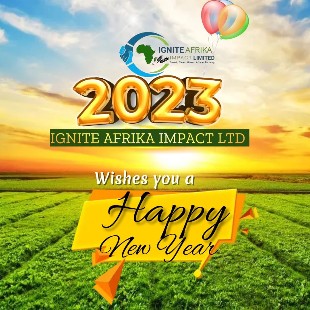 impact_afrika's tweet photo. Happy New Year https://t.co/JIpYZT49Ky