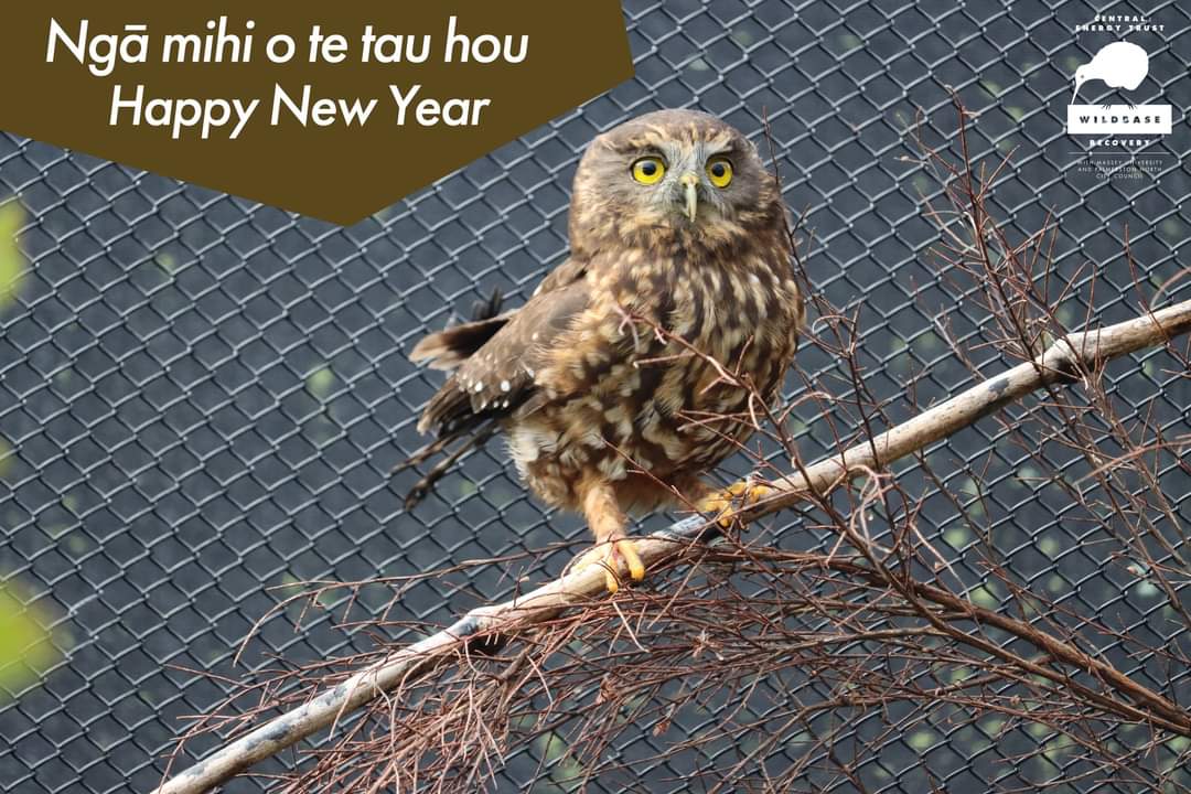 Central Energy Trust Wildbase Recovery tweet media