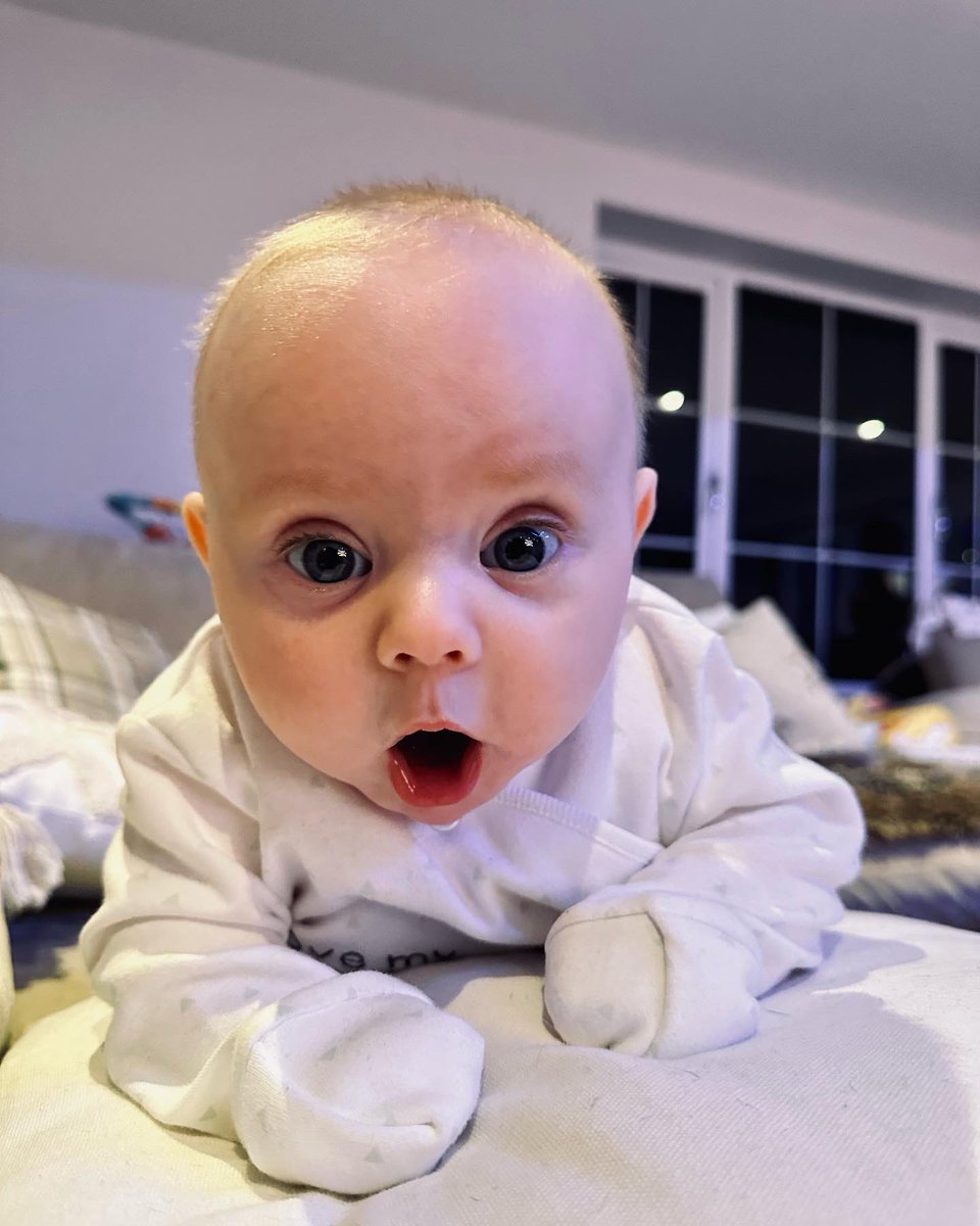 Behzinga's tweet photo. happy new year from my little family https://t.co/uRfule7f7R