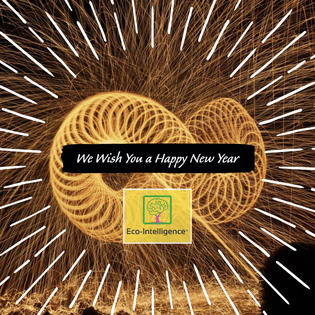 At Eco-Intelligence (@EcoIntelUS), just like you, we are also excited about the new year to achieve some significant milestones.
