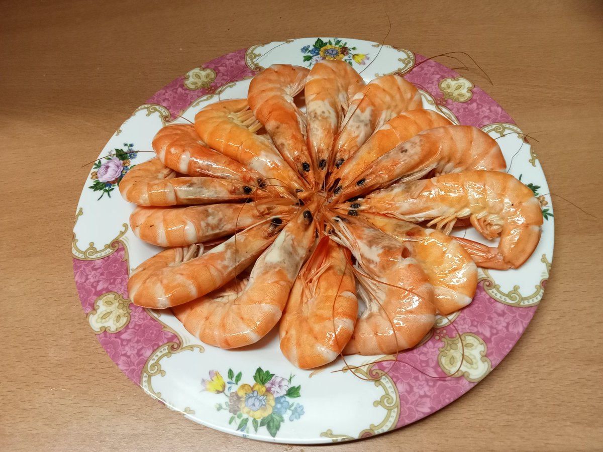 My Beautiful Country 🇵🇹 tweet media