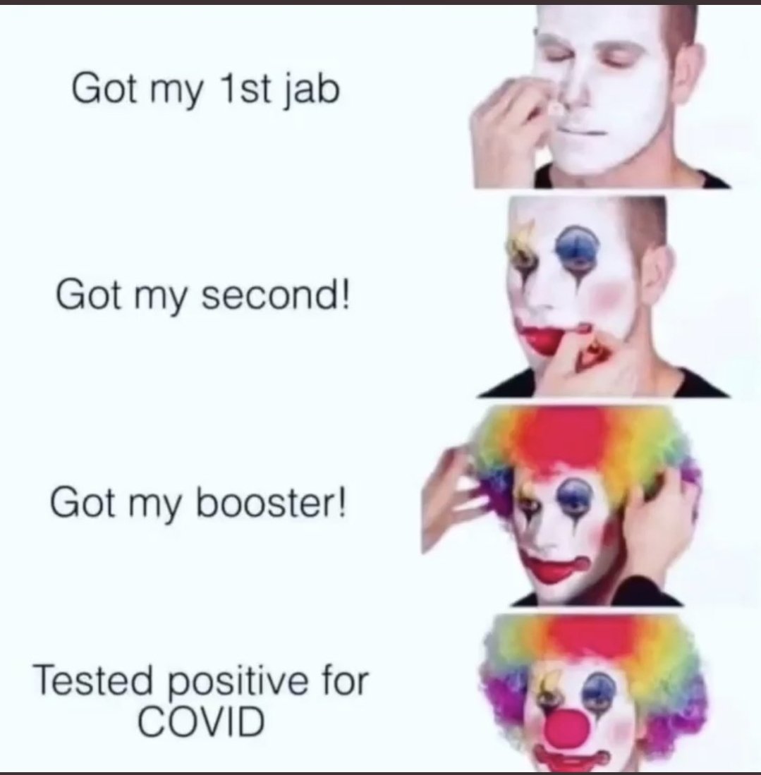 Ire ® 𓅓 tweet media