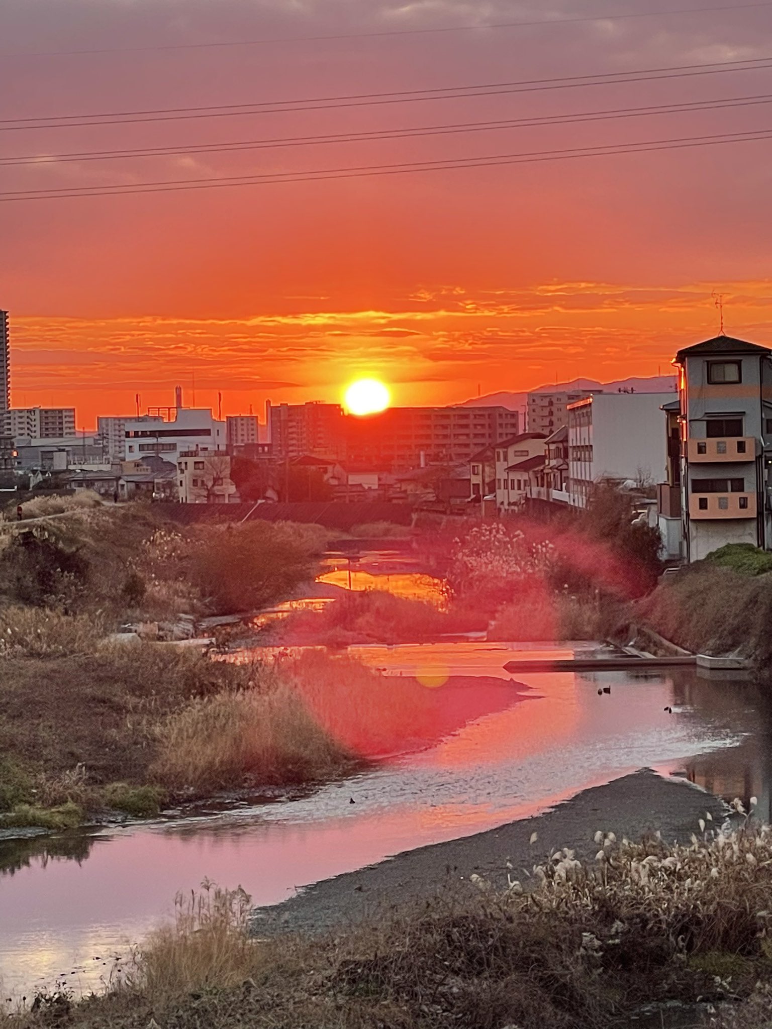 もふもふ (tapu_tapu_0719) / Twitter