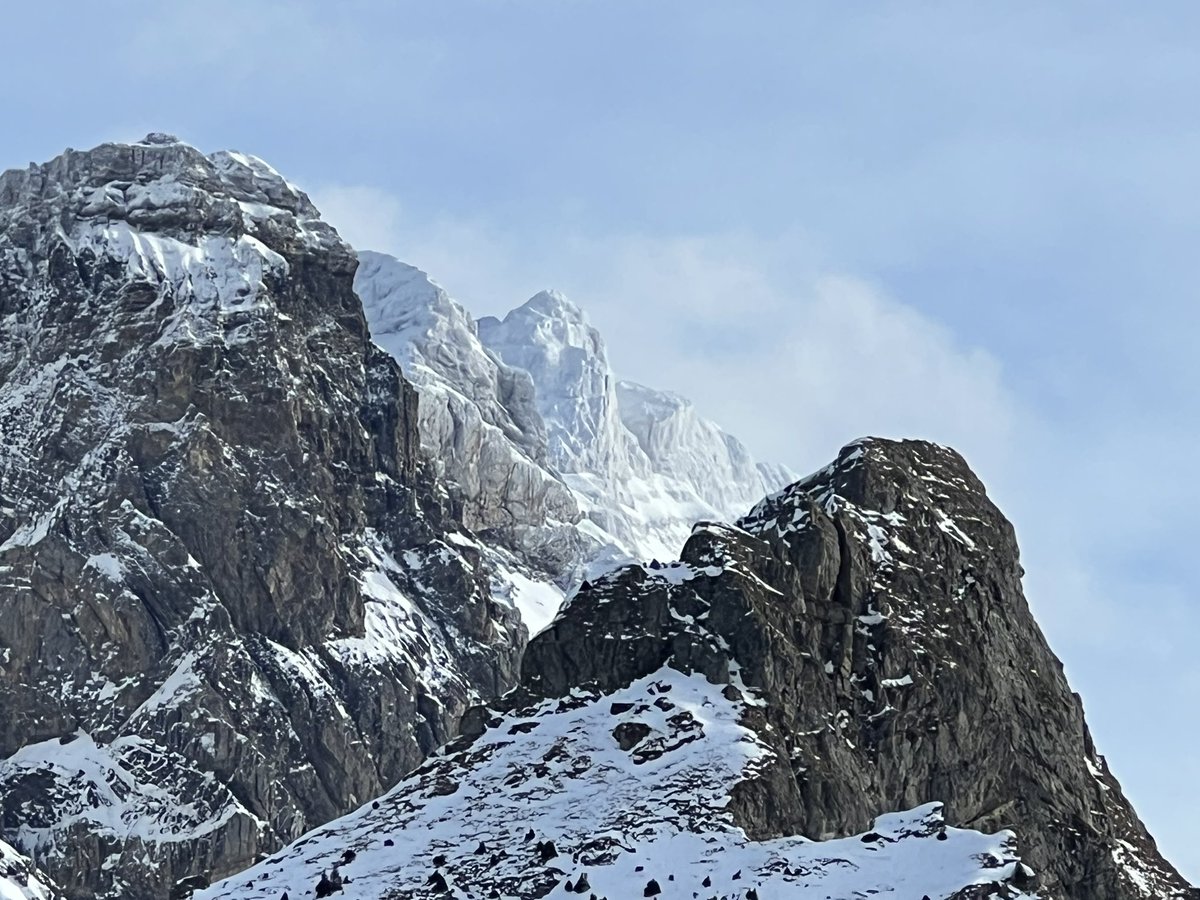 Très belle année !