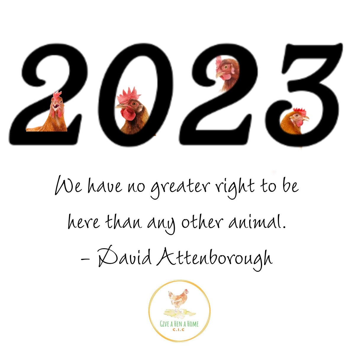 Wishing everyone a Happy New Year! 

Let's strive to be collectively stronger in 2023.

It is our hope that with each coming year mankind can find their kindness to all.

#savehens #rescueisthebestbreed #happynewyear #easichick #northwest #giveahenahome  #davidattenborough