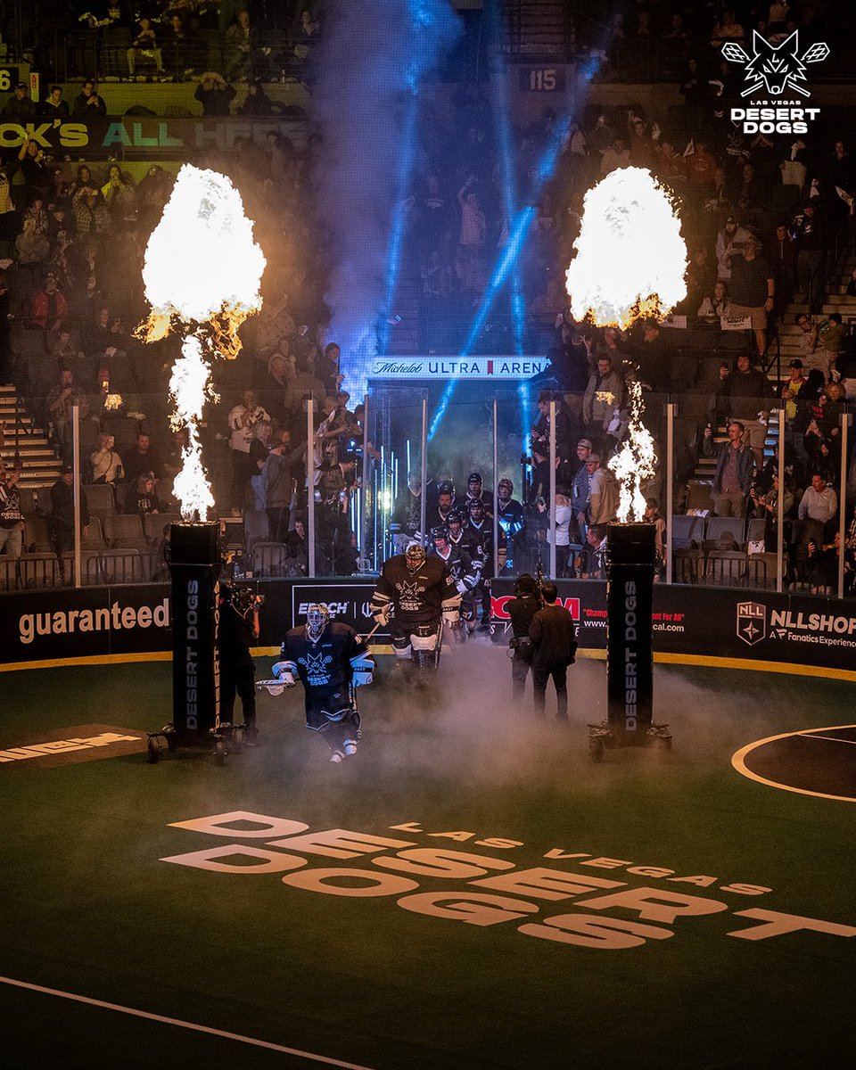 Las Vegas Desert Dogs tweet media