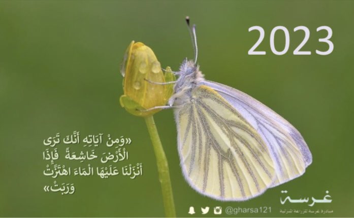 عام خير وبركة ونجاح للجميع. 

#2023NewYear