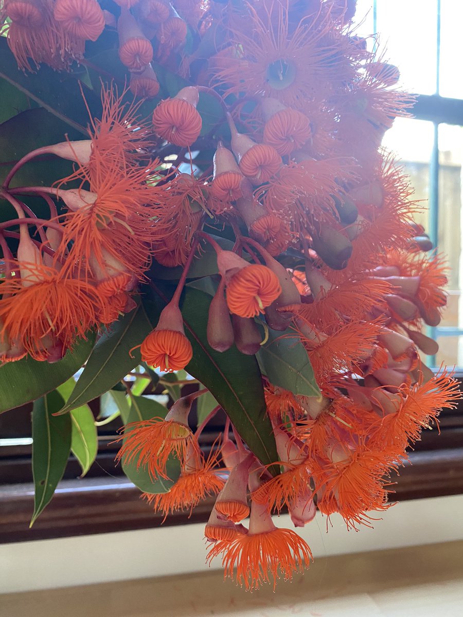 Happy new year everyone.