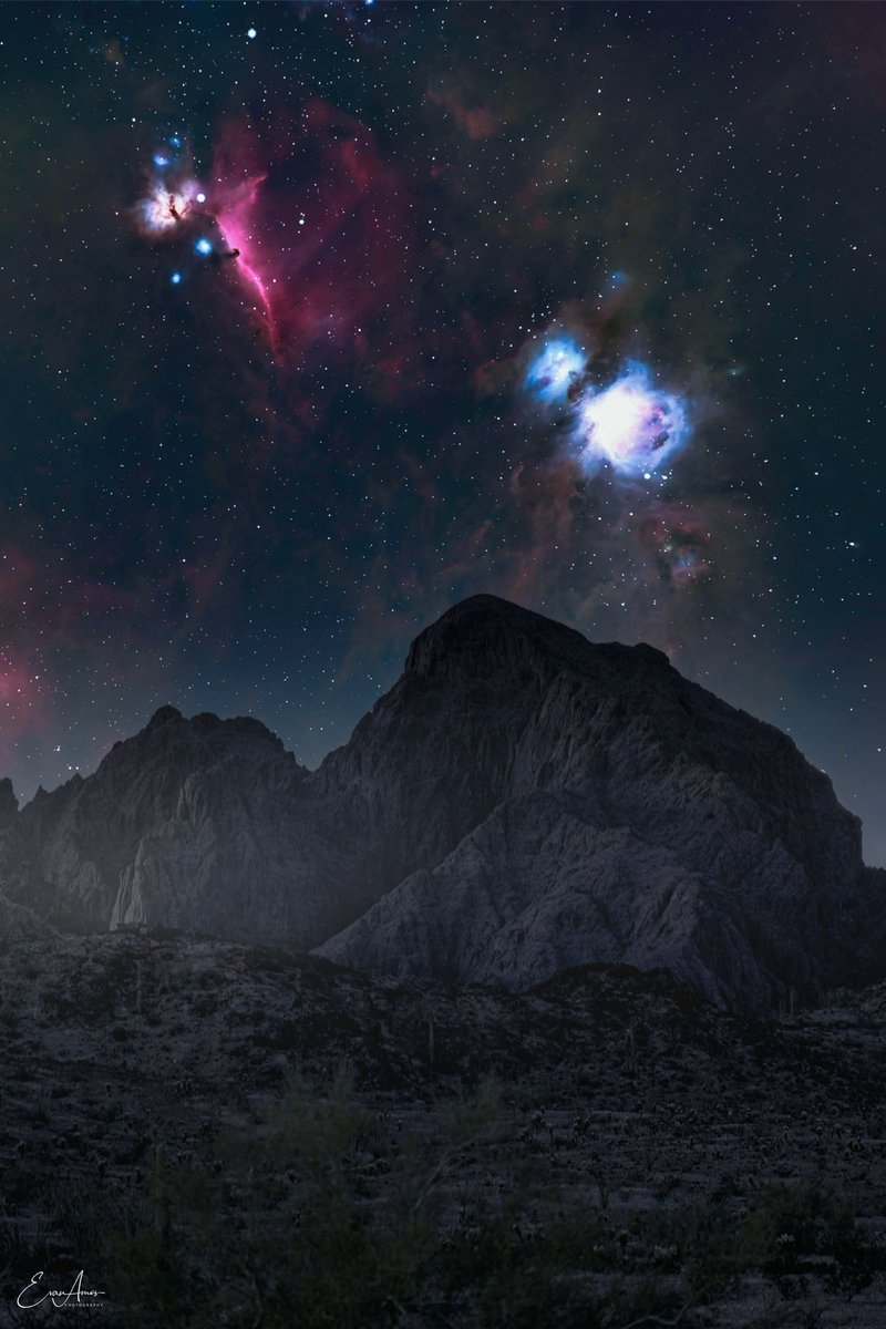 evanamos's tweet photo. Orion &amp; Horse Head Nebula over Kofa National Refuge https://t.co/xCP88xbFTm