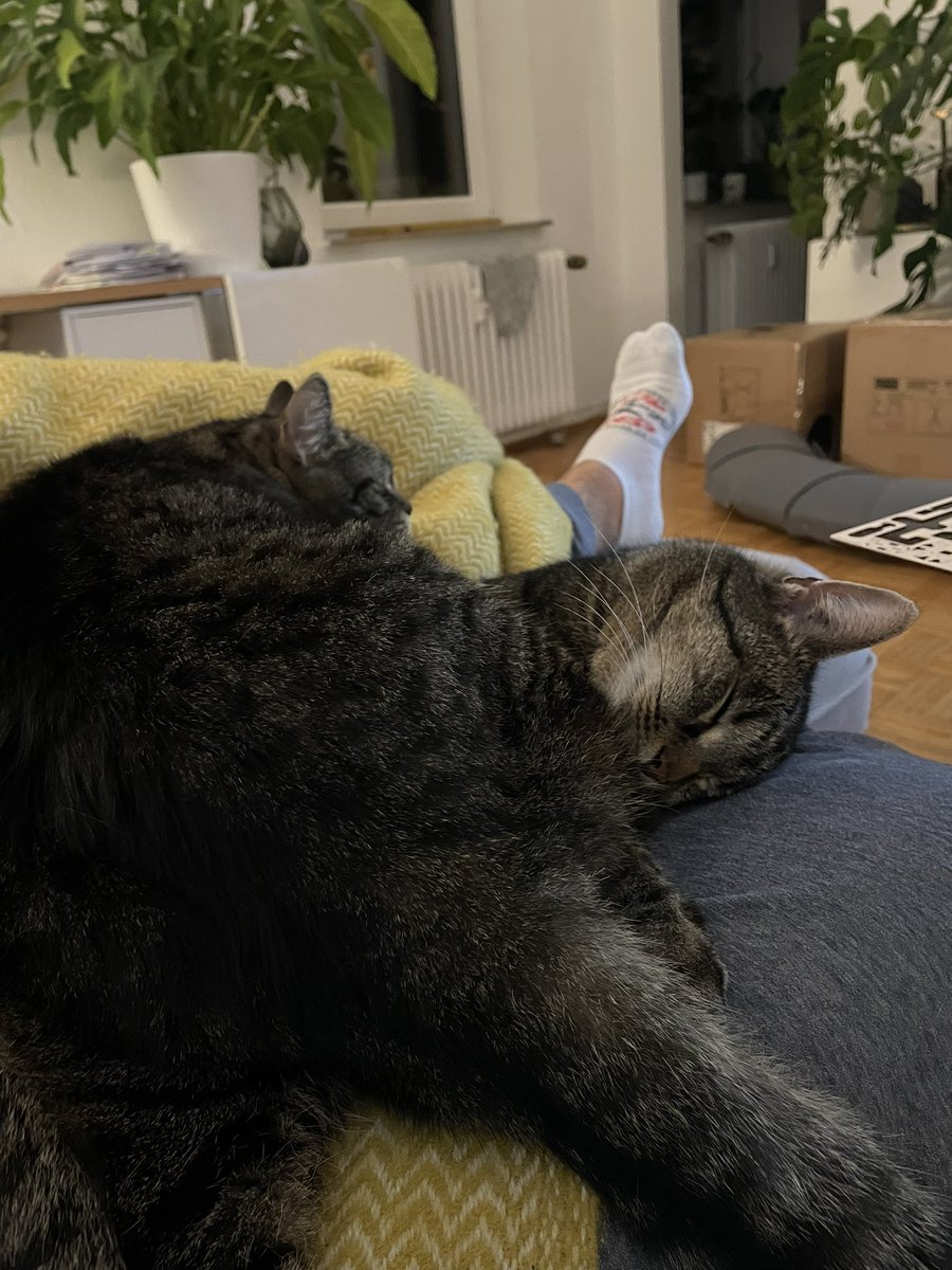 theRealFiko's tweet photo. WAS IST EIN BÖLLERN https://t.co/gQE4VQJ4eM