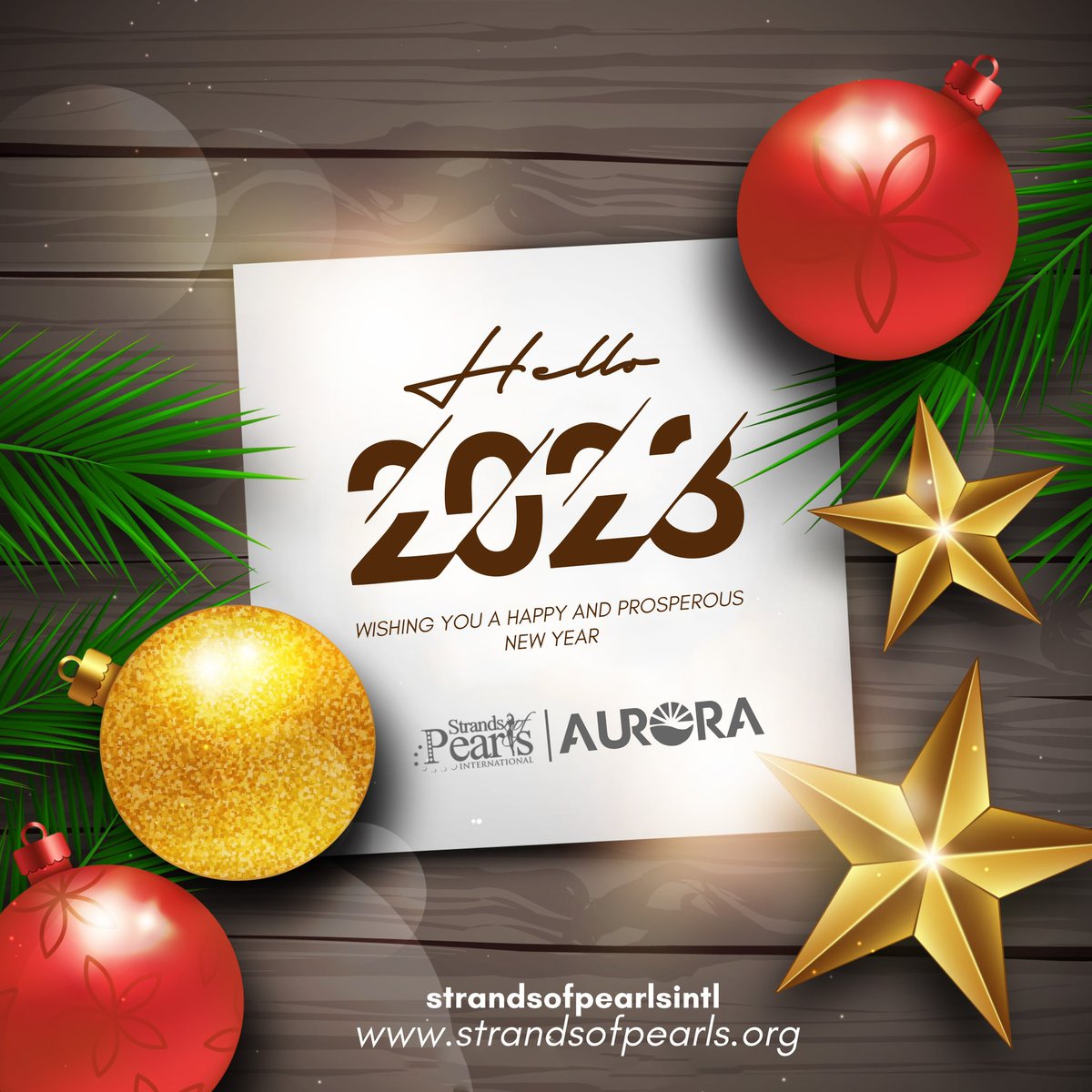 SOP_Int's tweet photo. Happy new year! 

#aurorawomen #aurora #truewomen https://t.co/O5fRbnUzPj