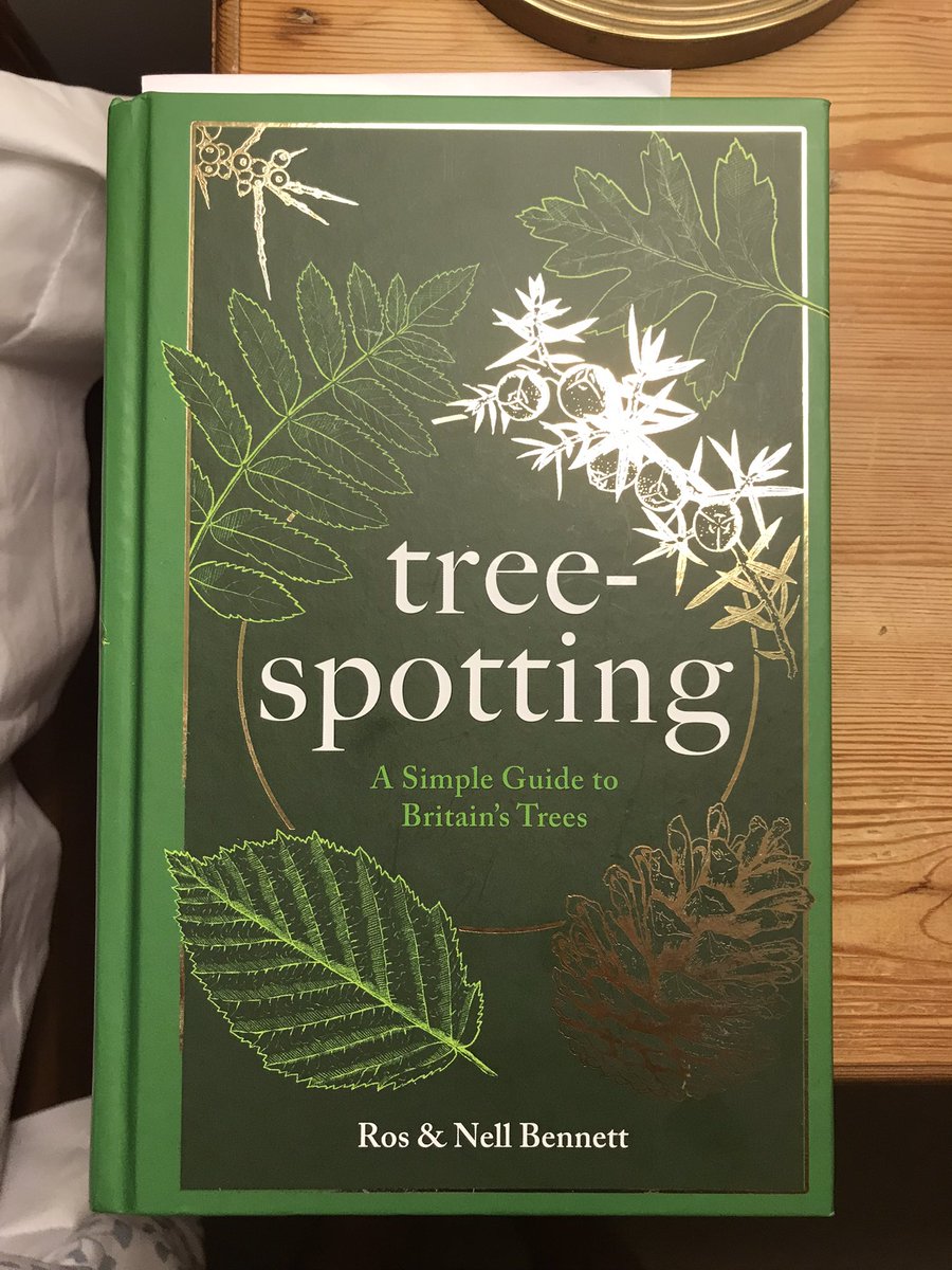 cyannaghas's tweet photo. @Bigmac560310 @TheKentAcorn Hi James; I just finished this book which my wife treated me to whilst on holiday in Yorkshire. Highly recommend and very interesting #trees #treespotting https://t.co/rr4kVnfjio