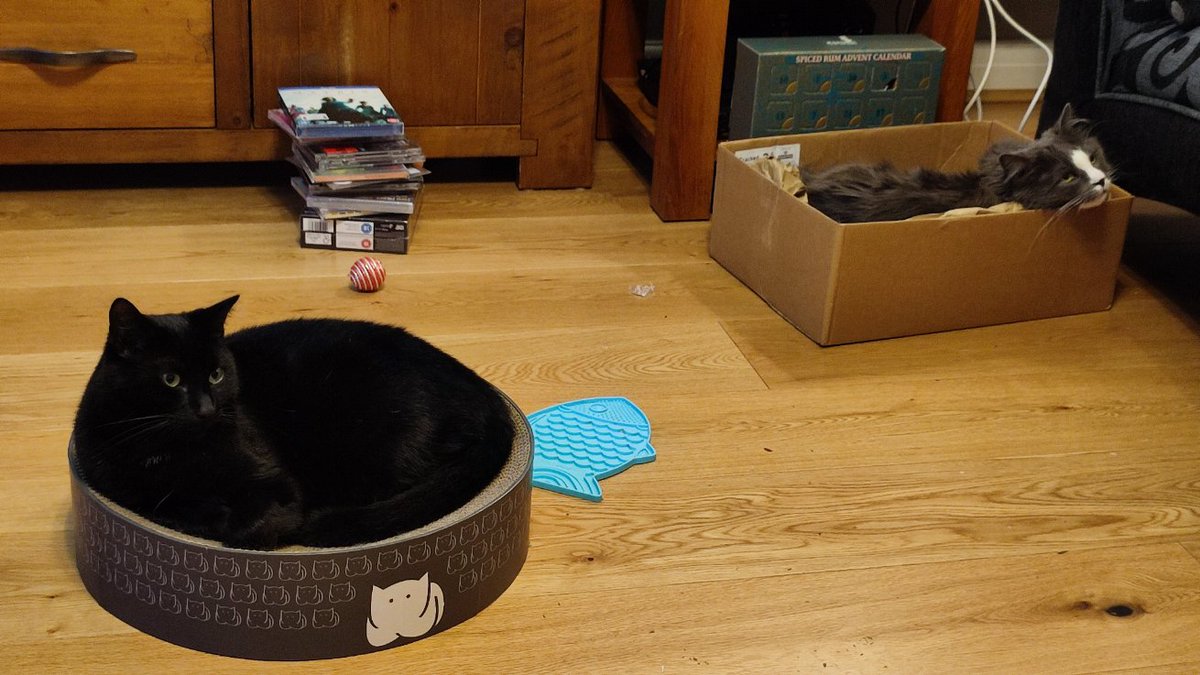 Stewart X Addison 🇪🇺 @sxa@fosstodon.org tweet media