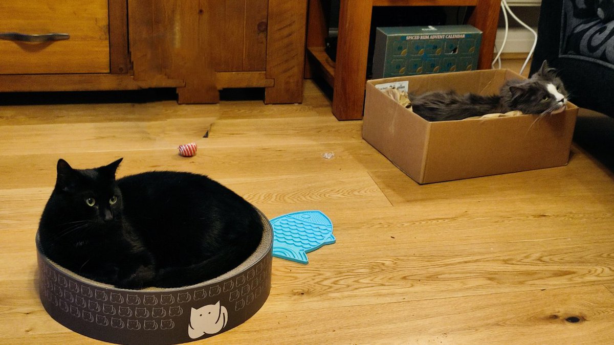 Stewart X Addison 🇪🇺 @sxa@fosstodon.org tweet media