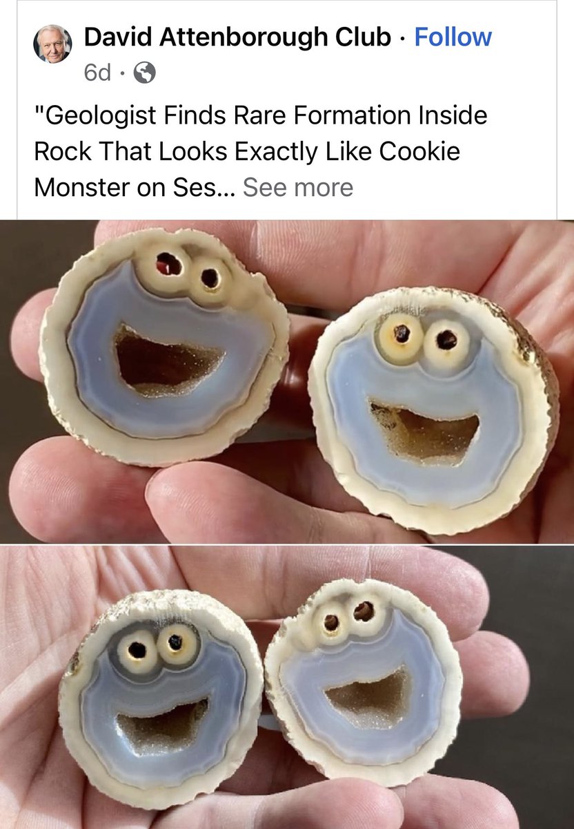 MrVanHorn's tweet photo. This has to make you smile, right? https://t.co/sfMuFiryU0