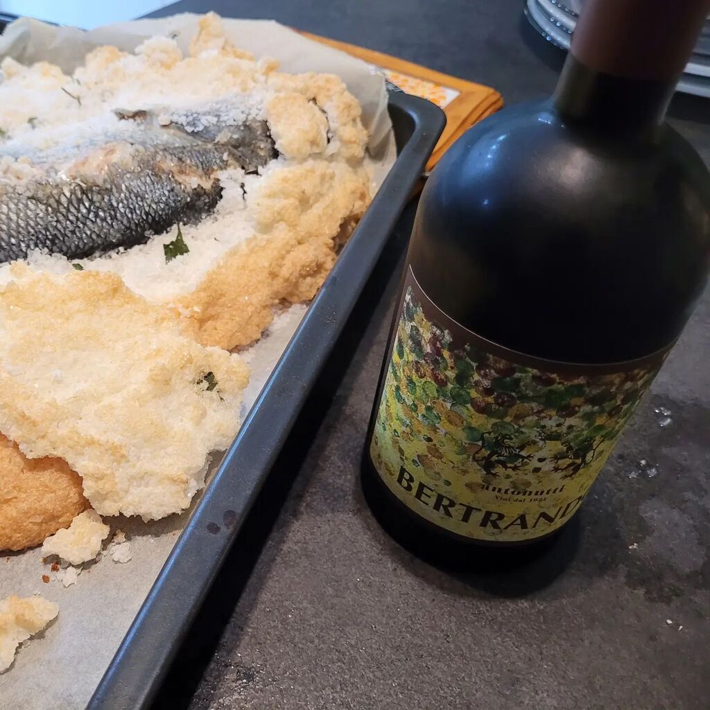 Branzino al sale e Bertrando di Antonutti, sarà un buon abbinamento?

#branzino #branzinoalsale #bertrando #antonuttivini #antonutti #abbinamentocibovino #abbinamenti #food #foodlover #cenaacasa #cenaconamici #vino #wine #winelover instagr.am/p/Cm2Tf8vtqtk/