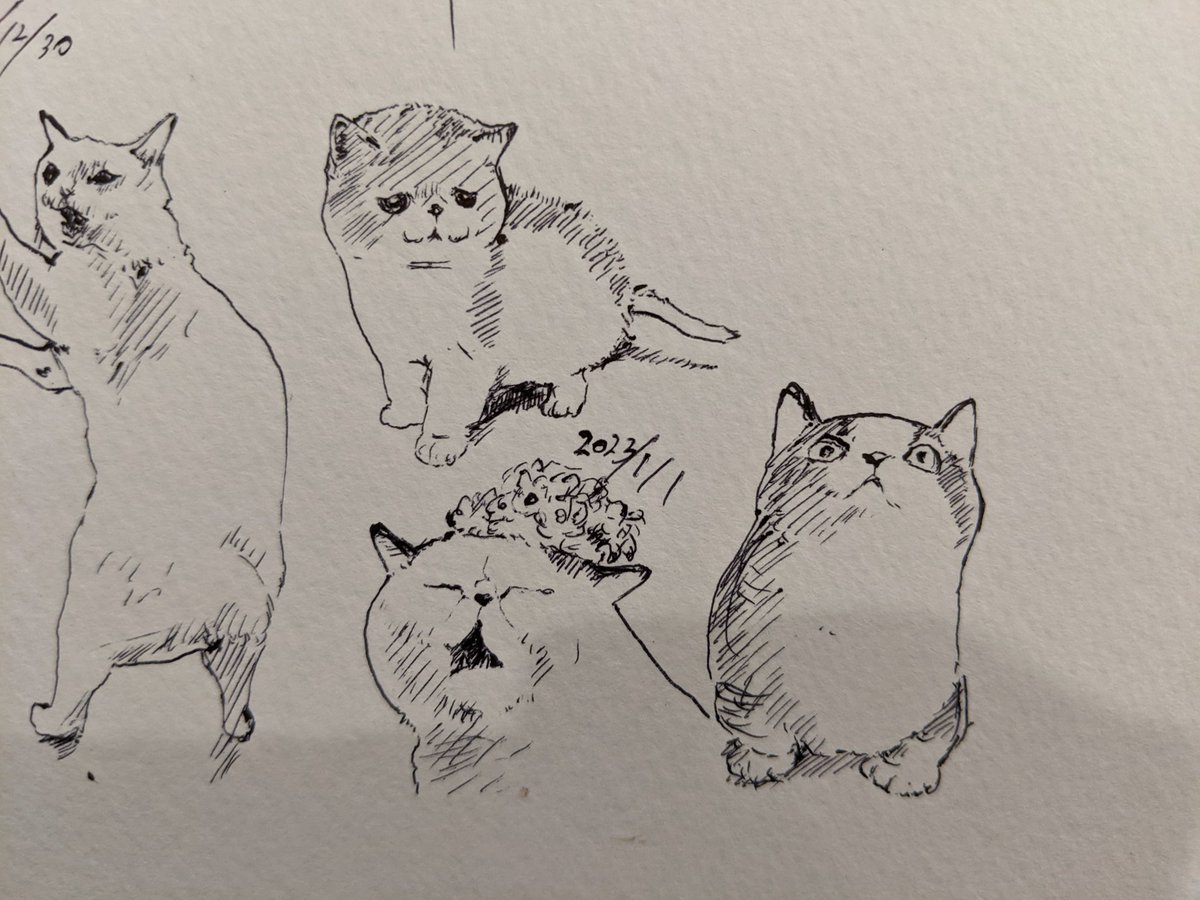 明けましておめでとうございます!
今年もよろしくお願いします!カキカキ。 