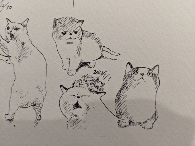 明けましておめでとうございます!
今年もよろしくお願いします!カキカキ。 