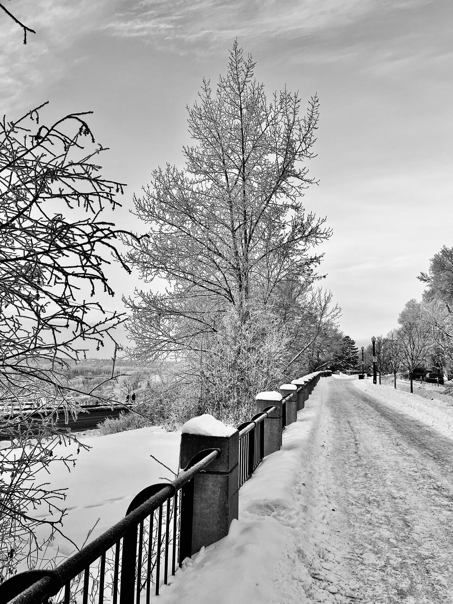 Happy frosty New Year!