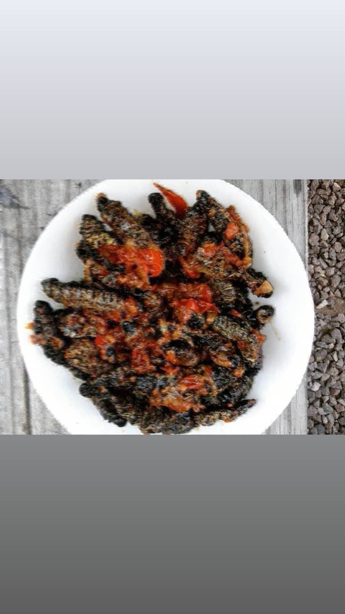 Munaka_Wamani's tweet photo. Pretoria East "Silverton"
🚚:Nationwide courier
📞:0727624228 /0815724879. #Vendatwitter #VhuvhambadziDrive #DjSbu #MopaniWorms #GirlTalkZA #Makhadzi #Monada #sete #SongOfTheYear #UkhoziFMNYE #CongratulationsSam #sabc1siON #bignuz 📍📍📍📍 https://t.co/0tJ9TqZeXM