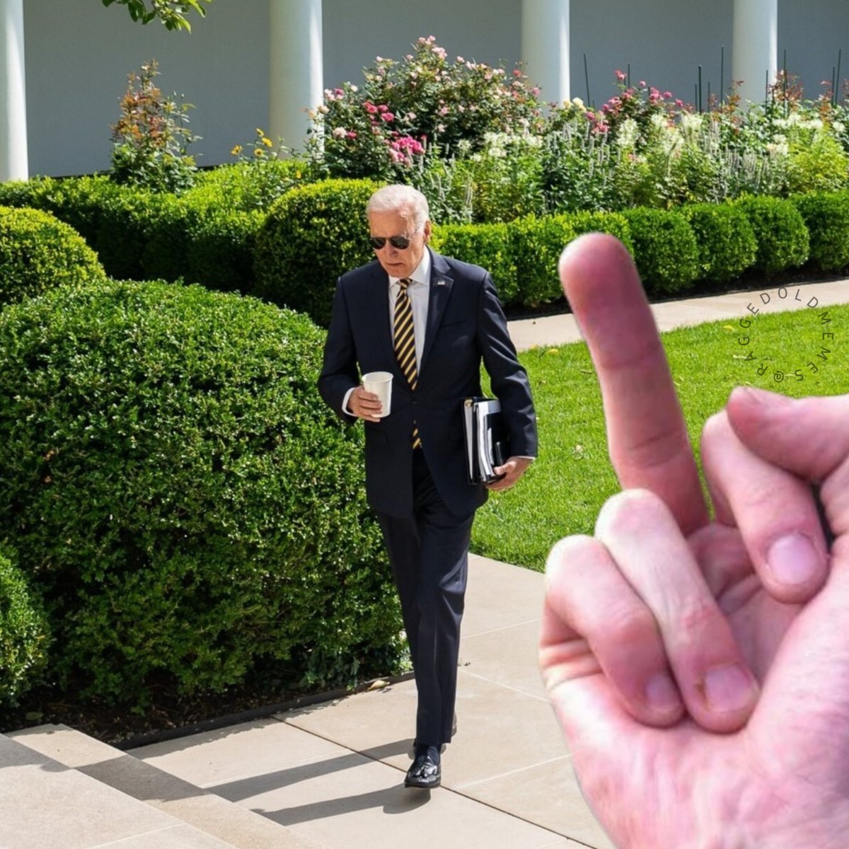 raggedoldmemes's tweet photo. @POTUS https://t.co/qtzoo0oRkH