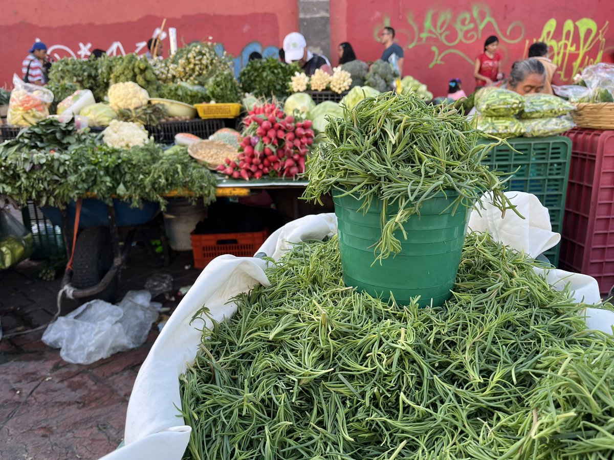 cdavidmx's tweet image. 🌱Uno de los nombres originarios de los romeritos es «iztaquilitil» (del náhuatl, traducido como quelite salado). La agricultura y la cocina conllevan un arduo trabajo y una vasta transmisión de conocimientos; no merecen ser, injustamente, vistas con desdén.