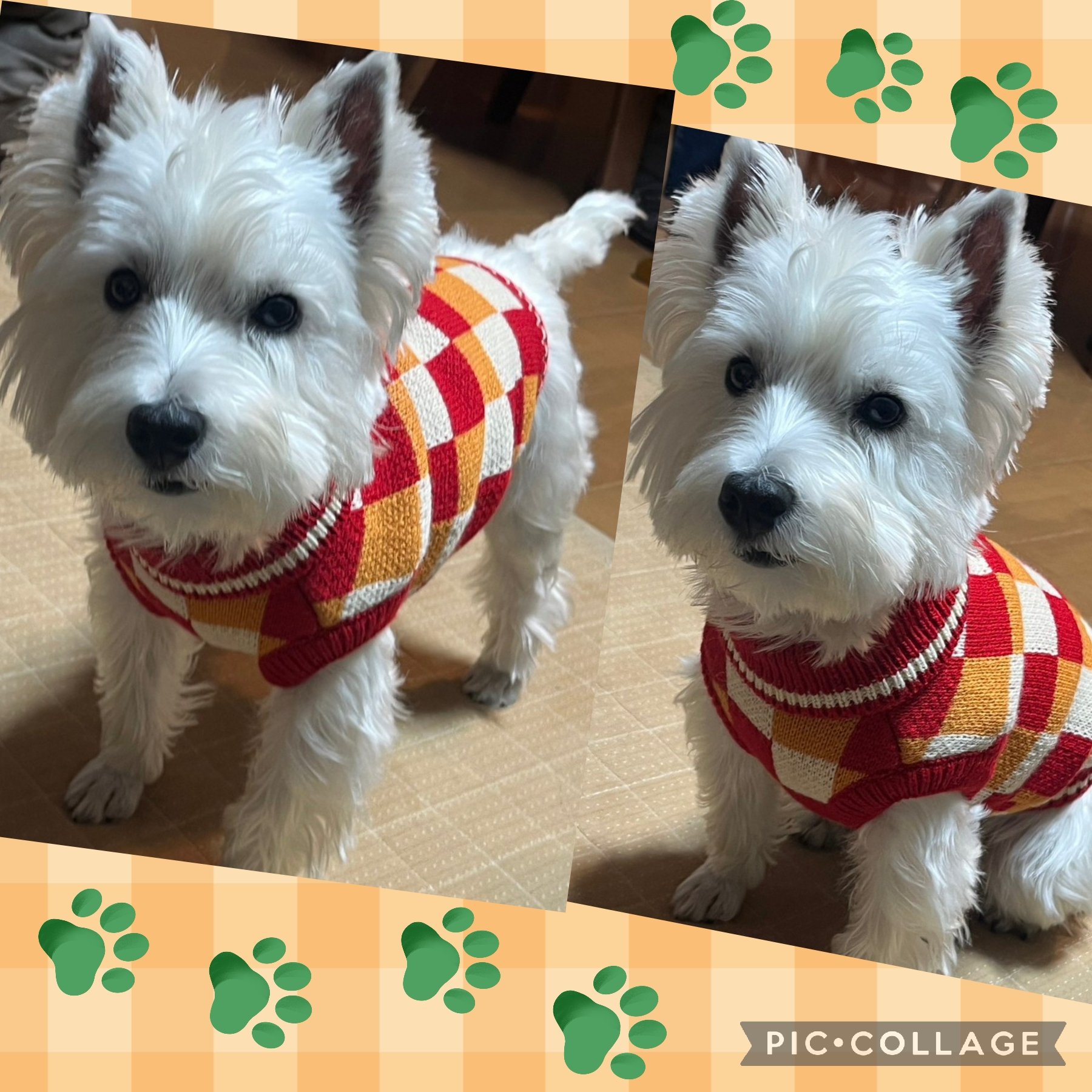 わさを様❤ウエストハイランドホワイトテリア 箸置き♡印鑑立て わさを様❤ウエストハイランドホワイトテリア 箸置き♡印鑑立て わさ