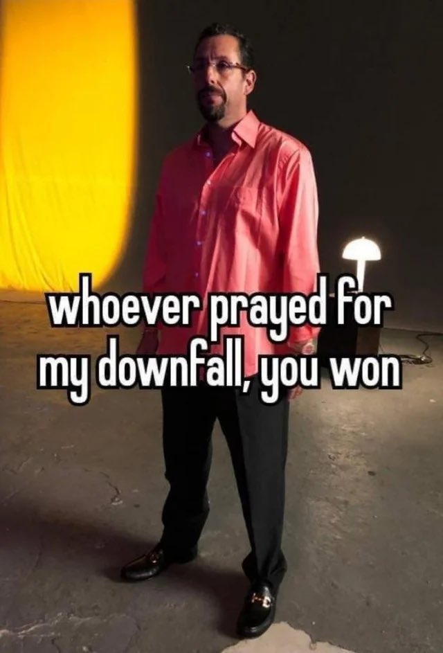 Championship Connoisseur tweet media