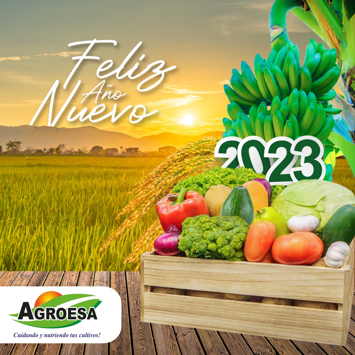 agroesasrl's tweet photo. La vida nos ha regalado un año más, y celebramos poder seguir juntos trillando el camino de un venturoso 2023.

Seguiremos comprometidos "Cuidando y Nutriendo tus Cultivos".

---
#cuidandoynutriendotuscultivos #agroesa #desde1996 https://t.co/VwoXi2AFpi