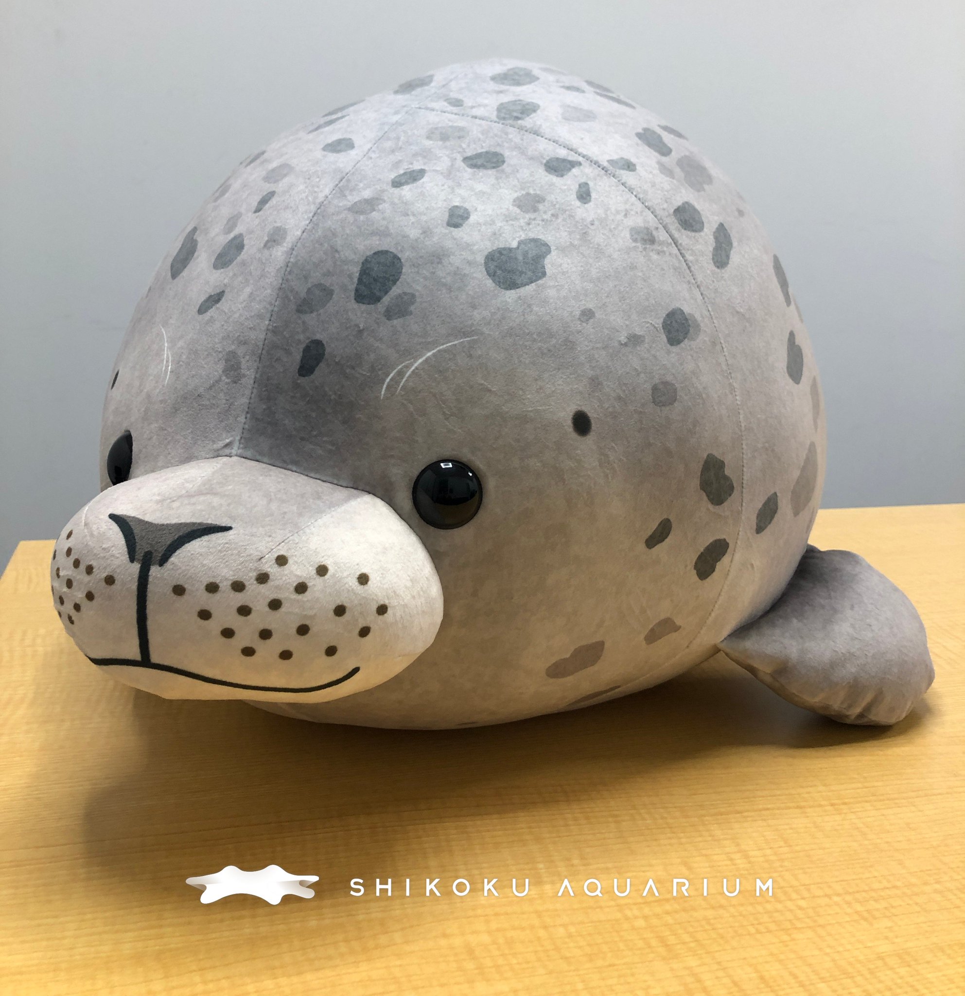 四国水族館 ゴマフアザラシ 特大ぬいぐるみ
