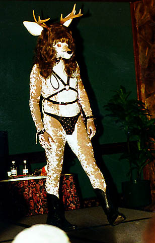 Furry Archive tweet media