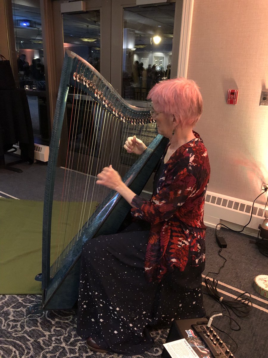 Hospice Harpist tweet media