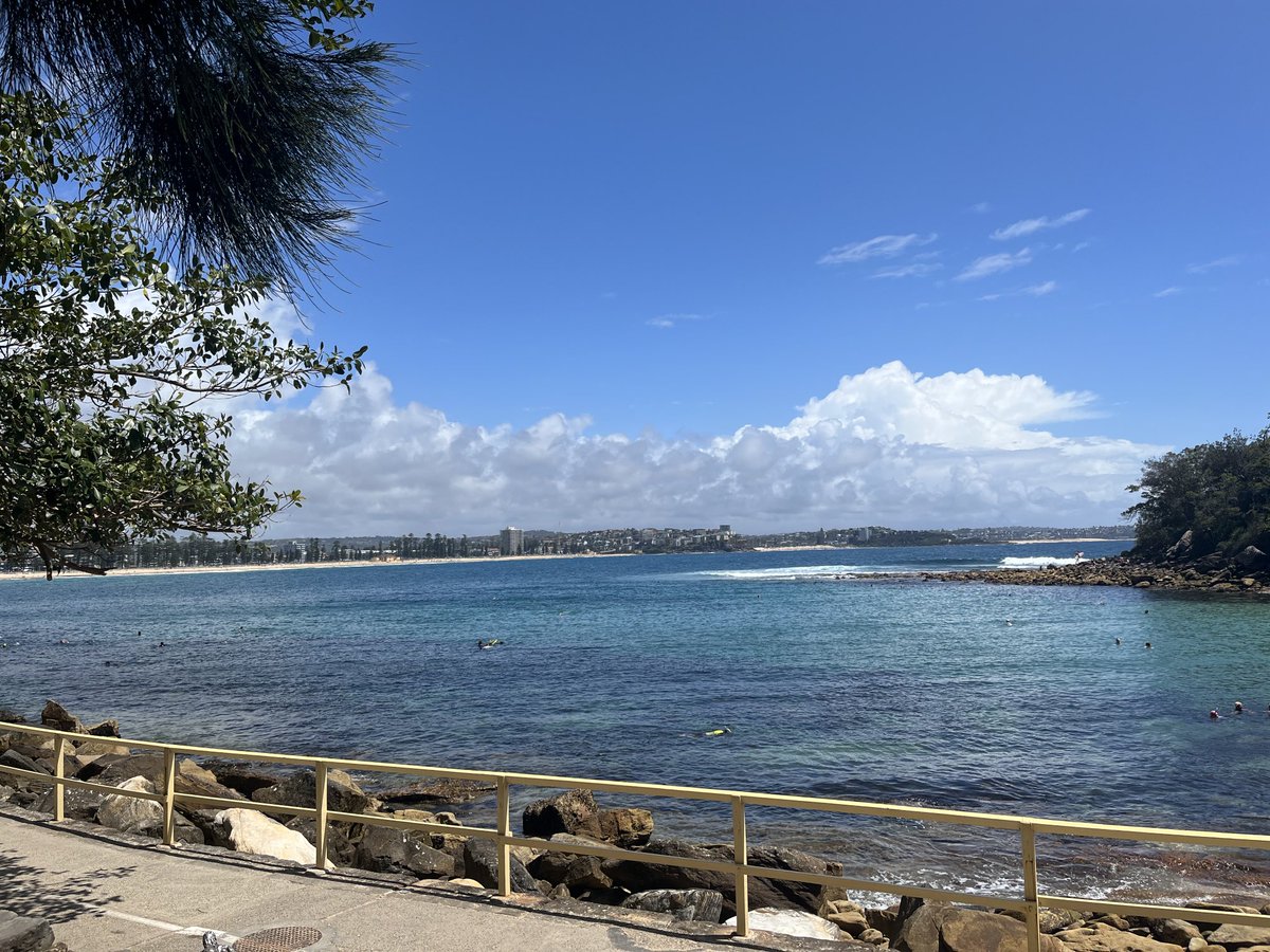 Luke Gilmour tweet media