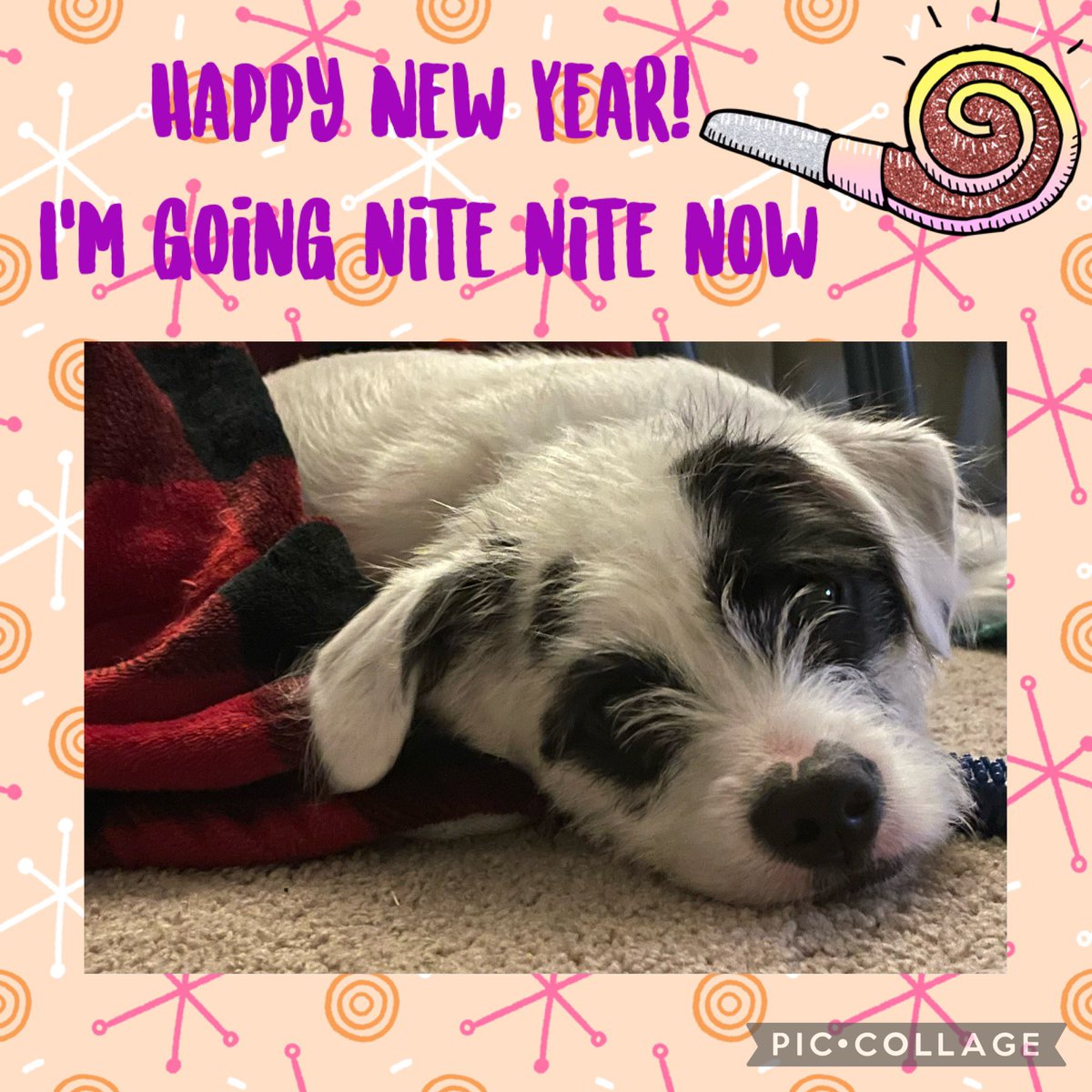 CoachK3rdGrade tweet media