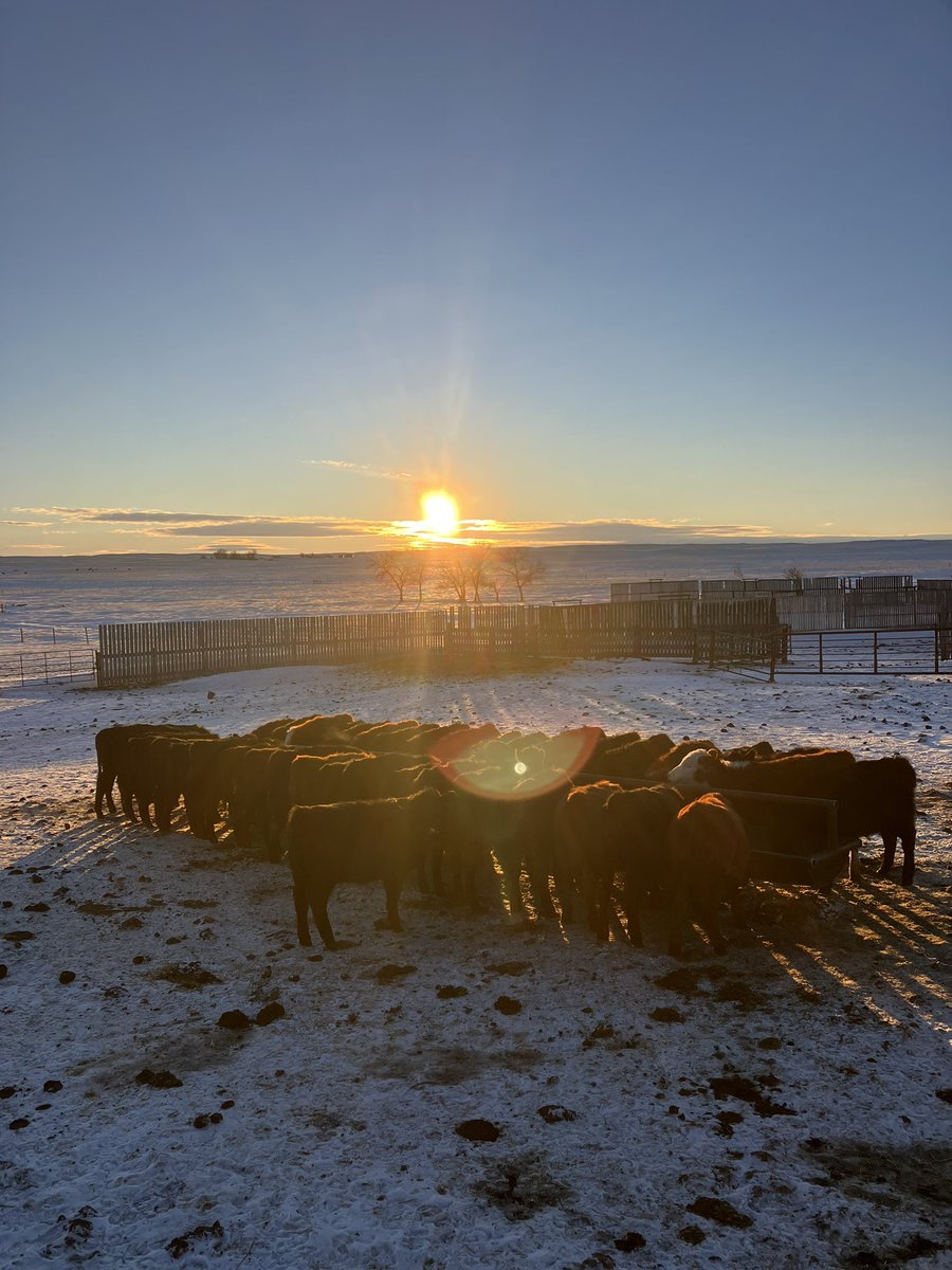 Richard Rieder tweet media