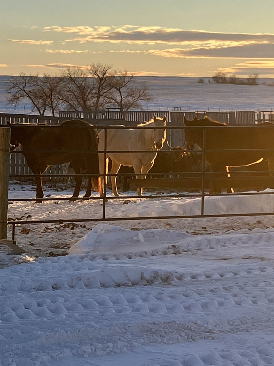 Richard Rieder tweet media