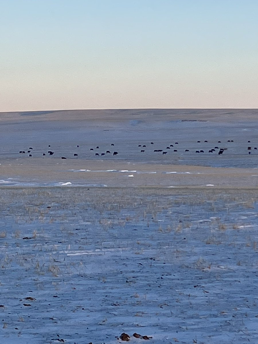 Richard Rieder tweet media