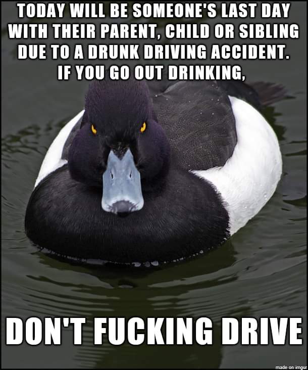 Cpt_Wolf's tweet photo. Be safe tonight folks...

If you're gonna party, make sure you do so responsibly.  Turn in your keys, get a sober ride. https://t.co/S0H83pXW3G