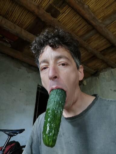 kiwinsfwfun's tweet photo. Sami mons is a bad slave @Fullxp661
#slave #exposedslave #exposedgayslave #gayslave https://t.co/p1nFypxOqE