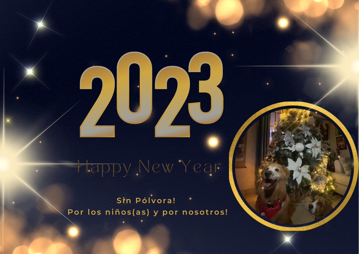 MeraryDiazMol's tweet photo. Feliz Año Nuevo, Sin Pólvora! Por los niños y niñas y por nosotros 🐶 #Cuidanos https://t.co/9BDICoN6PL
