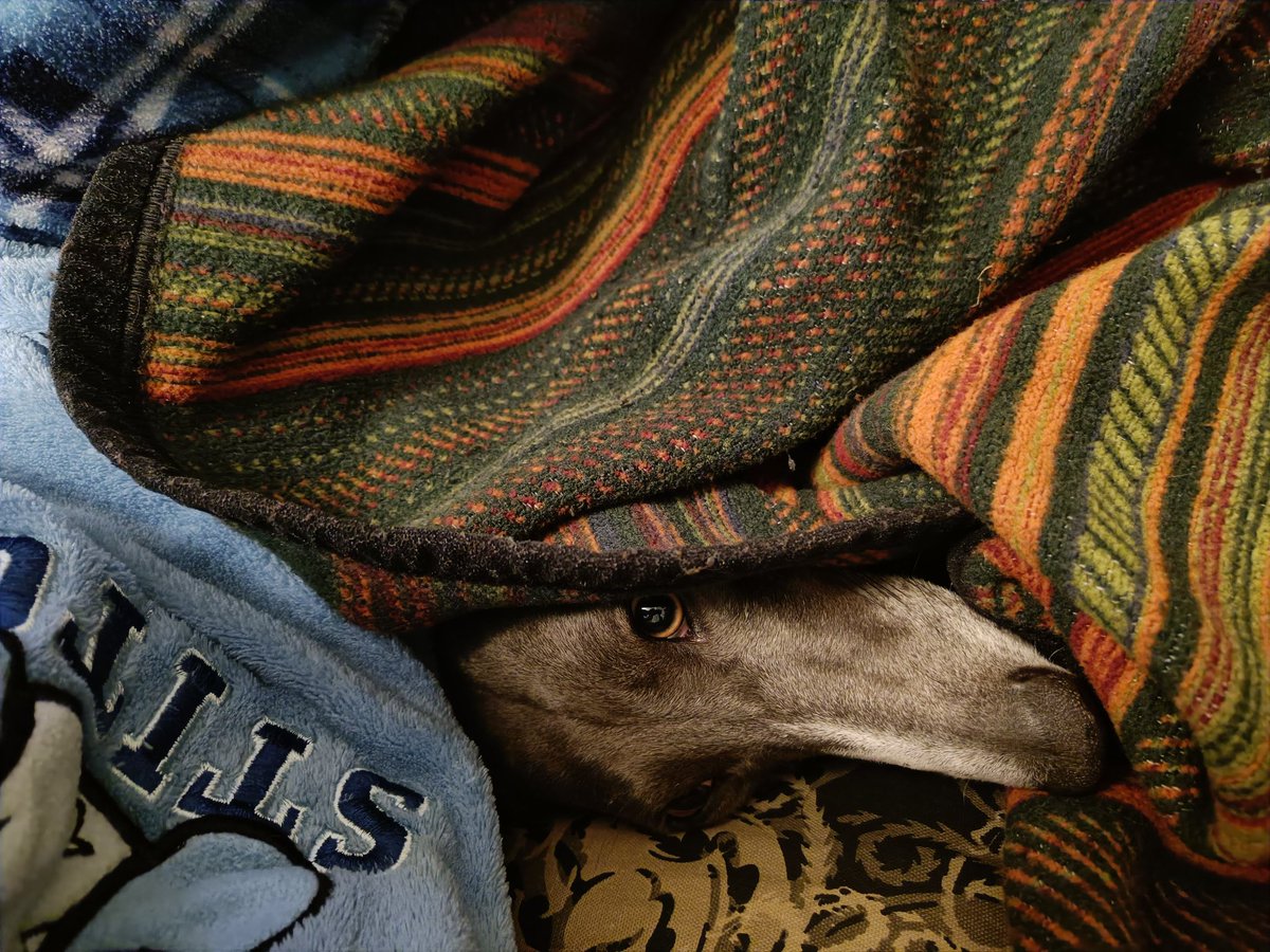 MarinaBoo22_'s tweet photo. Last cuddle of 2022 https://t.co/4VPHTQNkHx